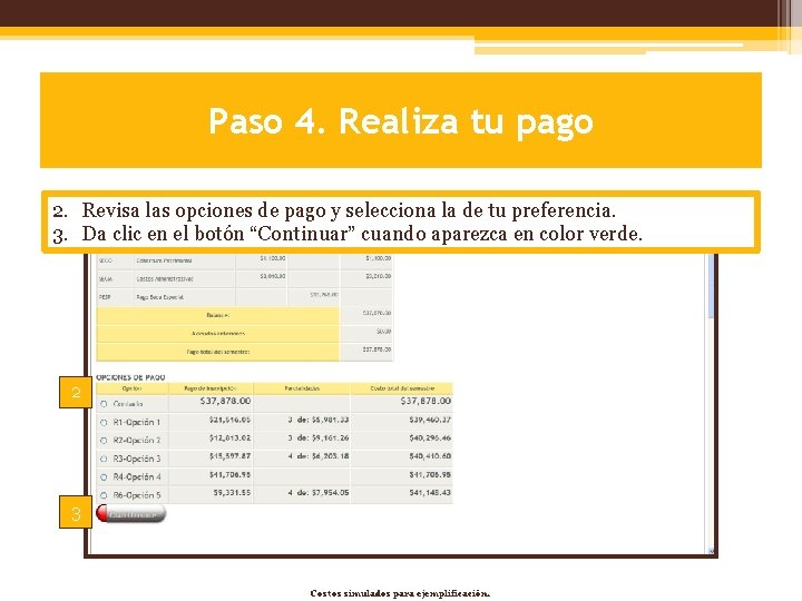 Paso 4. Realiza tu pago 2. Revisa las opciones de pago y selecciona la