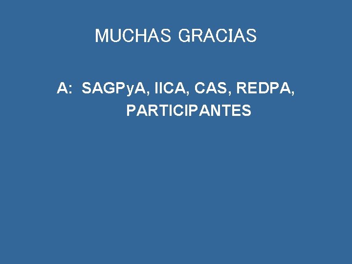 MUCHAS GRACIAS A: SAGPy. A, IICA, CAS, REDPA, PARTICIPANTES 