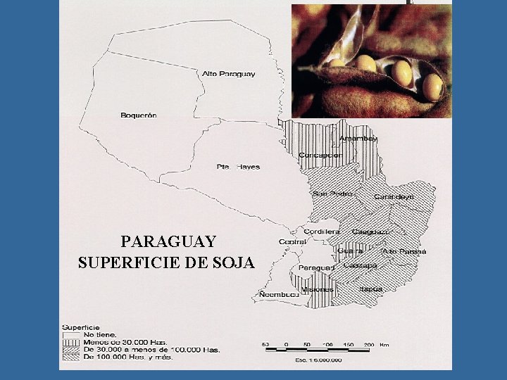 PARAGUAY SUPERFICIE DE SOJA 