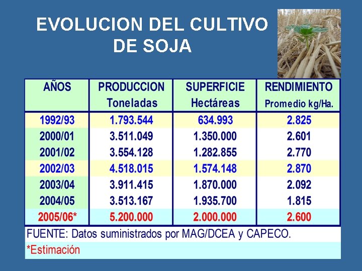 EVOLUCION DEL CULTIVO DE SOJA 