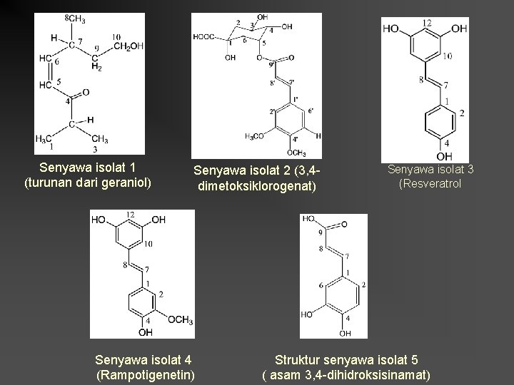 Senyawa isolat 1 (turunan dari geraniol) Senyawa isolat 2 (3, 4 dimetoksiklorogenat) Senyawa isolat