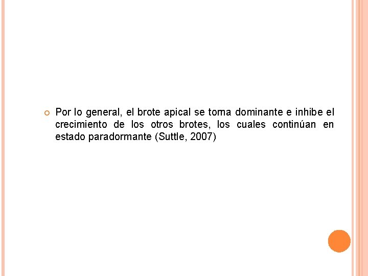 Por lo general, el brote apical se torna dominante e inhibe el crecimiento Por lo general, el brote apical se torna dominante e inhibe el crecimiento