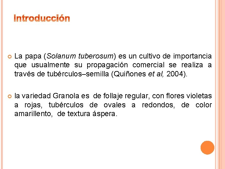  La papa (Solanum tuberosum) es un cultivo de importancia que usualmente su propagación