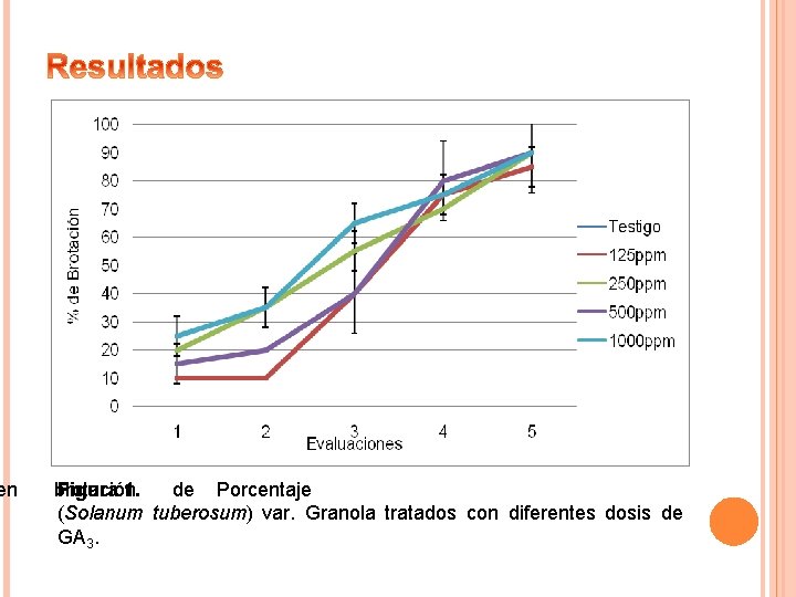 en brotación Figura 1. de Porcentaje (Solanum tuberosum) var. Granola tratados con diferentes dosis