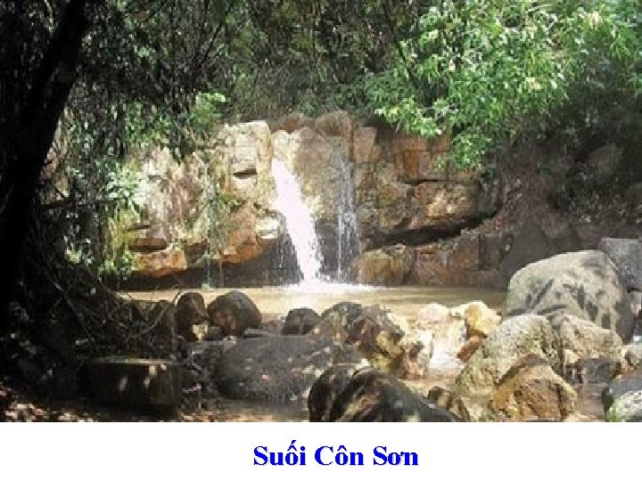 Suối Côn Sơn 