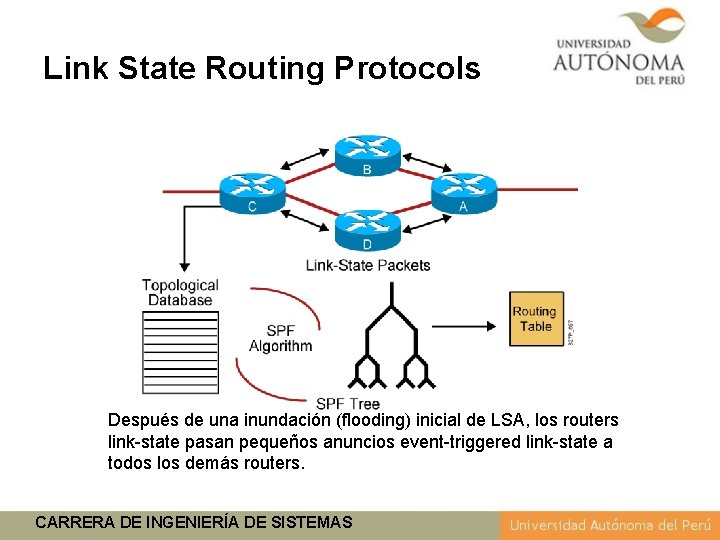 Link State Routing Protocols Después de una inundación (flooding) inicial de LSA, los routers
