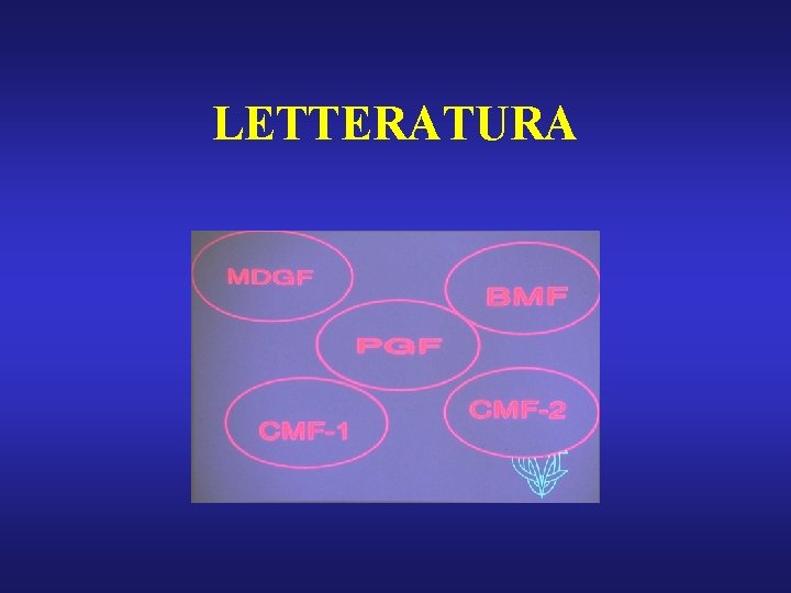 LETTERATURA 