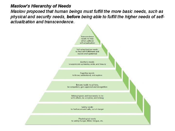 Maslow’s Hierarchy of Needs Maslow proposed that human beings must fulfill the more basic