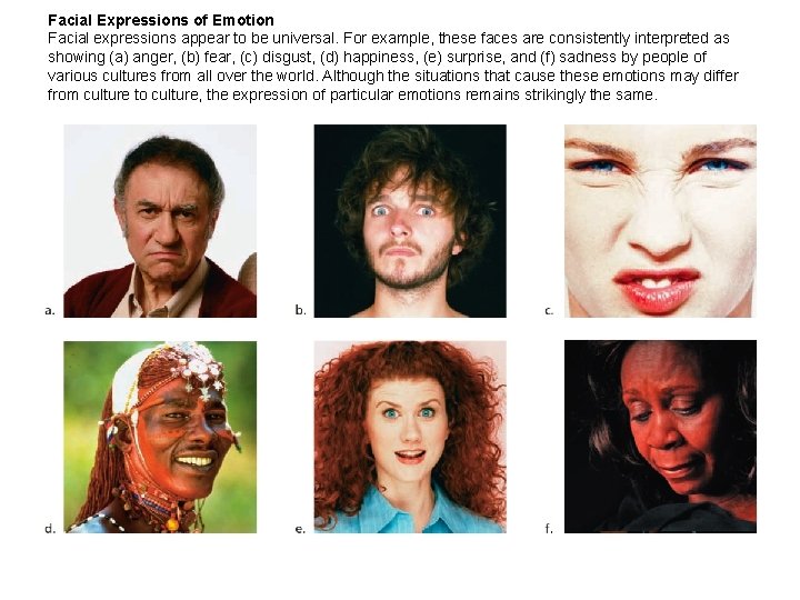 Facial Expressions of Emotion Facial expressions appear to be universal. For example, these faces