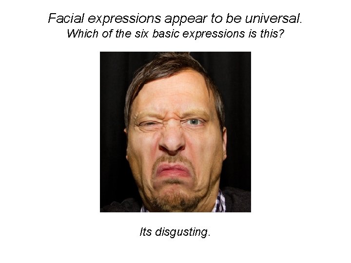 Facial expressions appear to be universal. Which of the six basic expressions is this?