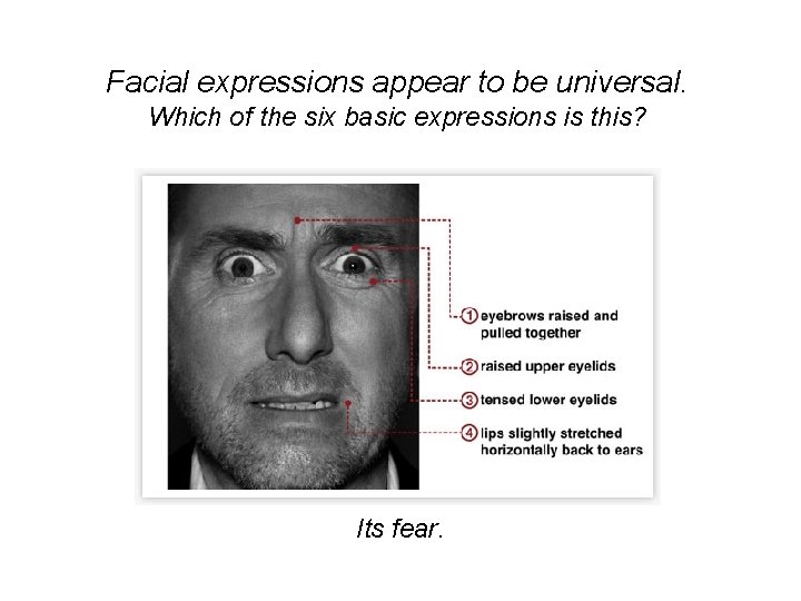 Facial expressions appear to be universal. Which of the six basic expressions is this?