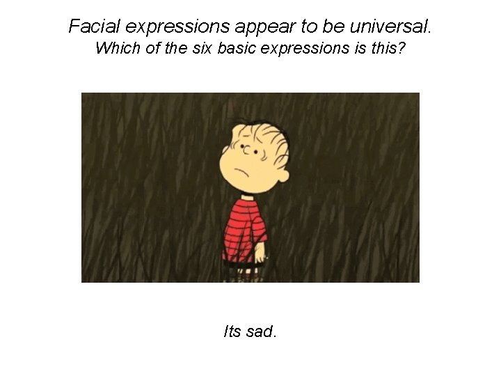 Facial expressions appear to be universal. Which of the six basic expressions is this?