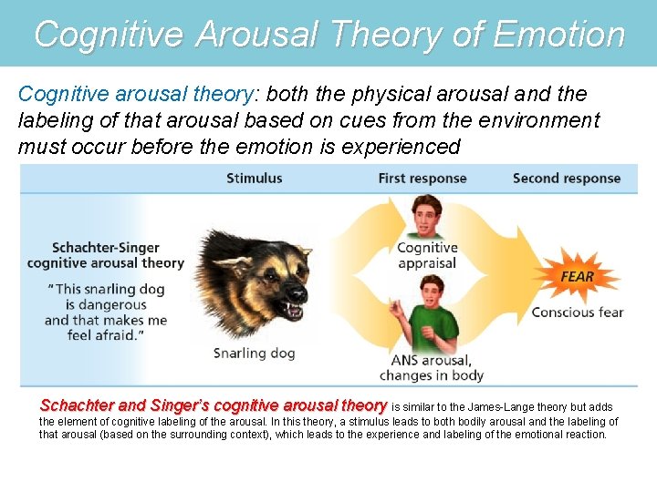 Cognitive Arousal Theory of Emotion Cognitive arousal theory: both the physical arousal and the