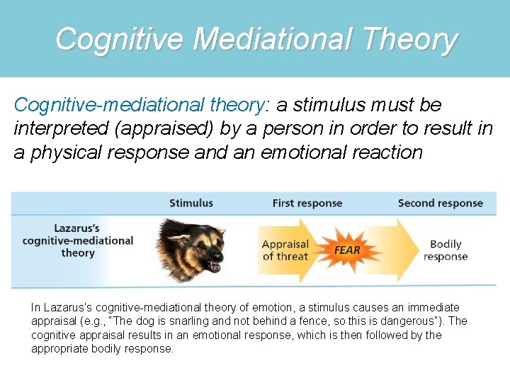 Cognitive Mediational Theory Cognitive-mediational theory: a stimulus must be interpreted (appraised) by a person