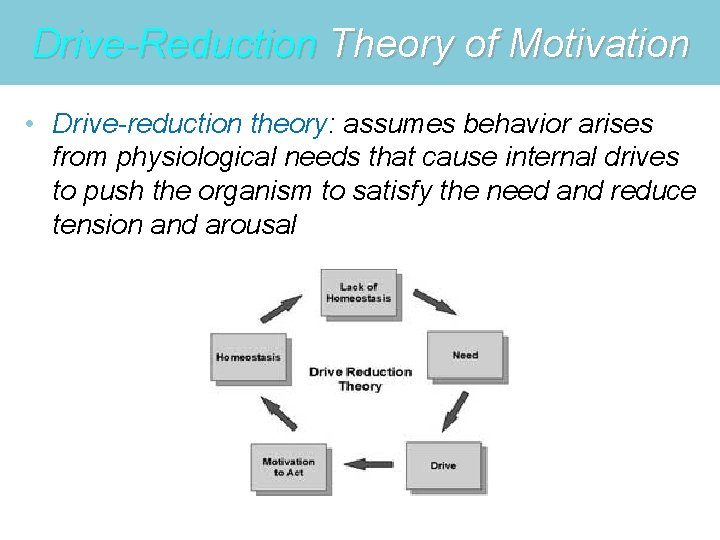 Drive-Reduction Theory of Motivation • Drive-reduction theory: assumes behavior arises from physiological needs that