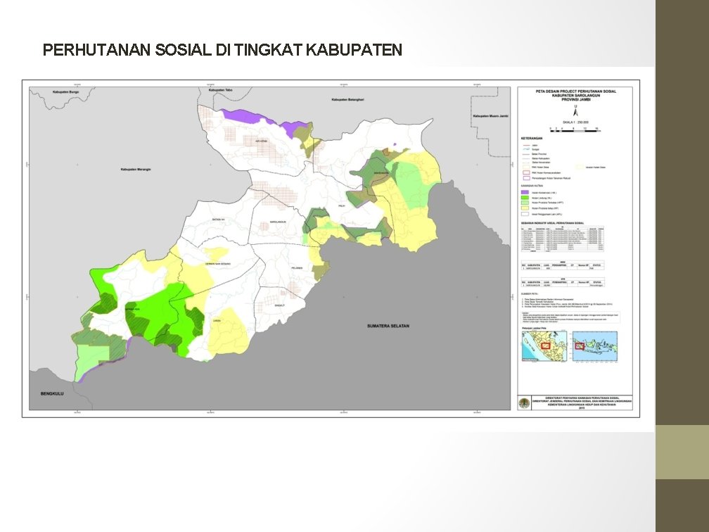 PERHUTANAN SOSIAL DI TINGKAT KABUPATEN 