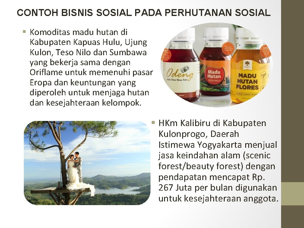 CONTOH BISNIS SOSIAL PADA PERHUTANAN SOSIAL § Komoditas madu hutan di Kabupaten Kapuas Hulu,