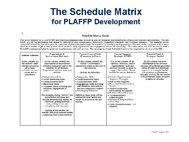 The Schedule Matrix for PLAFFP Development 