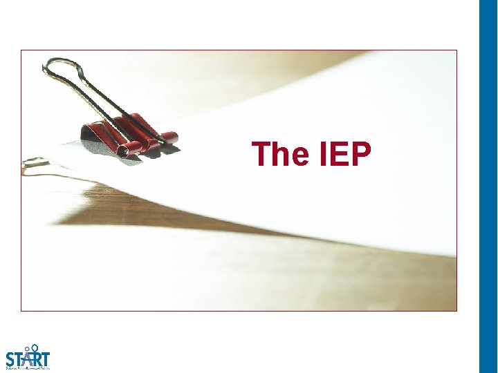 The IEP 
