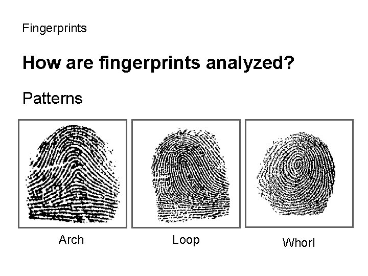 Fingerprints How are fingerprints analyzed? Patterns Arch Loop Whorl 