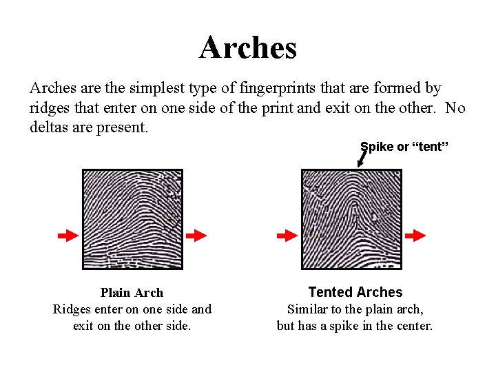 Arches are the simplest type of fingerprints that are formed by ridges that enter