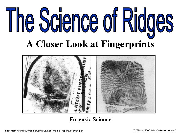 A Closer Look at Fingerprints Forensic Science Image from ftp: //sequoyah. nist. gov/pub/nist_internal_reports/ir_6534. pdf