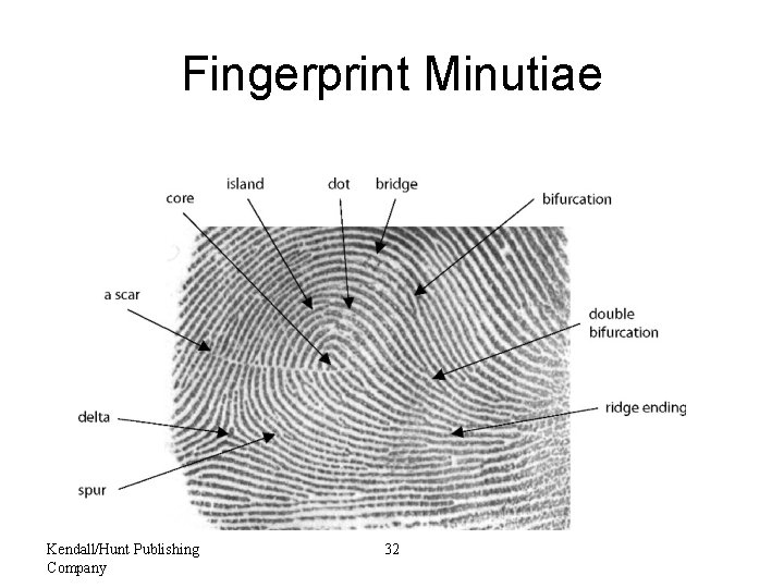 Fingerprint Minutiae Kendall/Hunt Publishing Company 32 