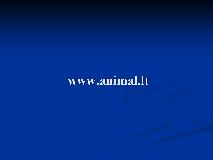 www. animal. lt 