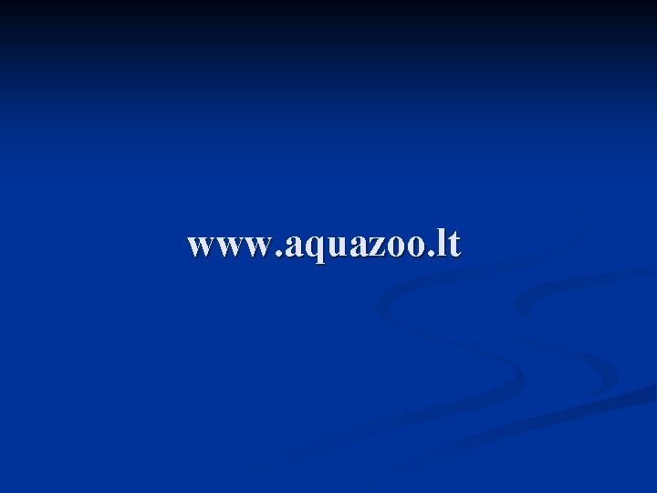 www. aquazoo. lt 