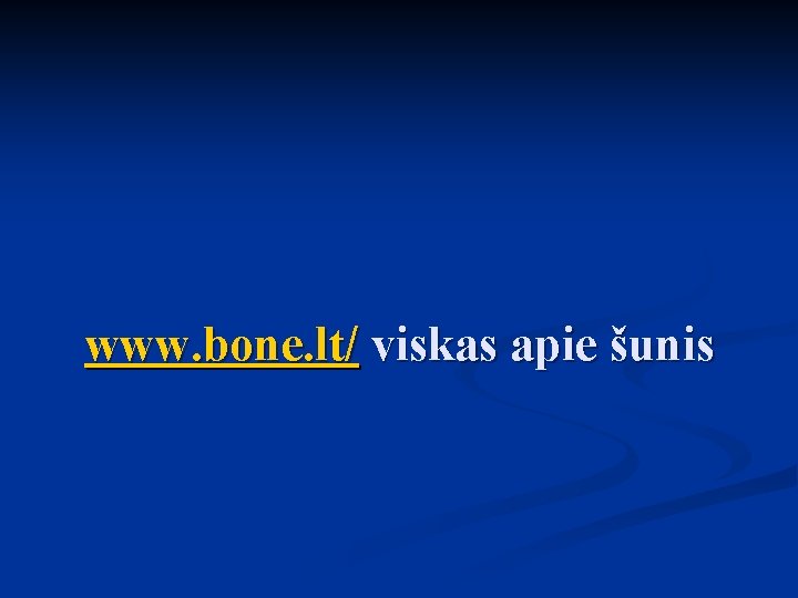 www. bone. lt/ viskas apie šunis www. bone. lt/ viskas apie šunis