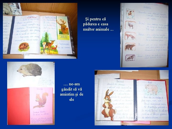 Şi pentru că pădurea e casa multor animale. . . . ne-am gândit să