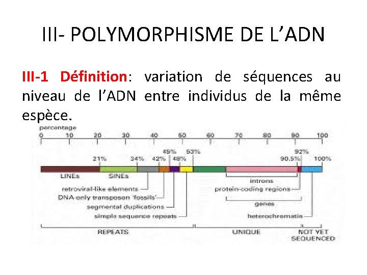 III- POLYMORPHISME DE L’ADN III-1 Définition: variation de séquences au niveau de l’ADN entre