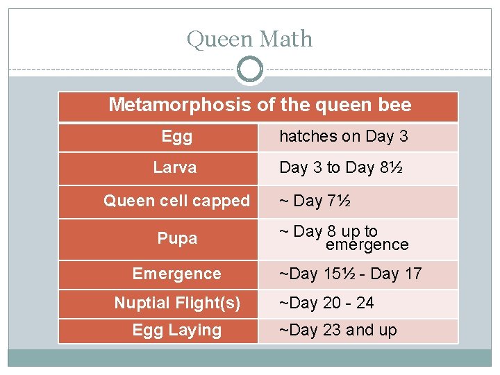 Queen Math Metamorphosis of the queen bee Egg hatches on Day 3 Larva Day Queen Math Metamorphosis of the queen bee Egg hatches on Day 3 Larva Day