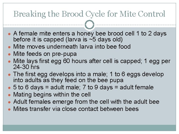 Breaking the Brood Cycle for Mite Control ● A female mite enters a honey Breaking the Brood Cycle for Mite Control ● A female mite enters a honey