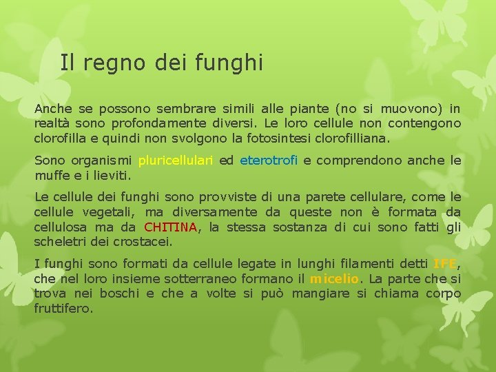 Il regno dei funghi Anche se possono sembrare simili alle piante (no si muovono)