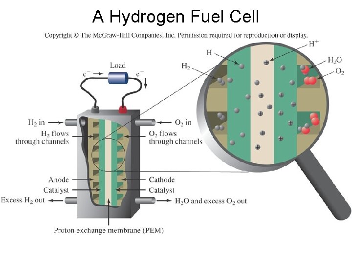 A Hydrogen Fuel Cell 