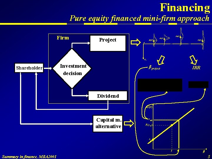 Financing Pure equity financed mini-firm approach Firm Shareholder Project Investment decision βproject IRR Dividend