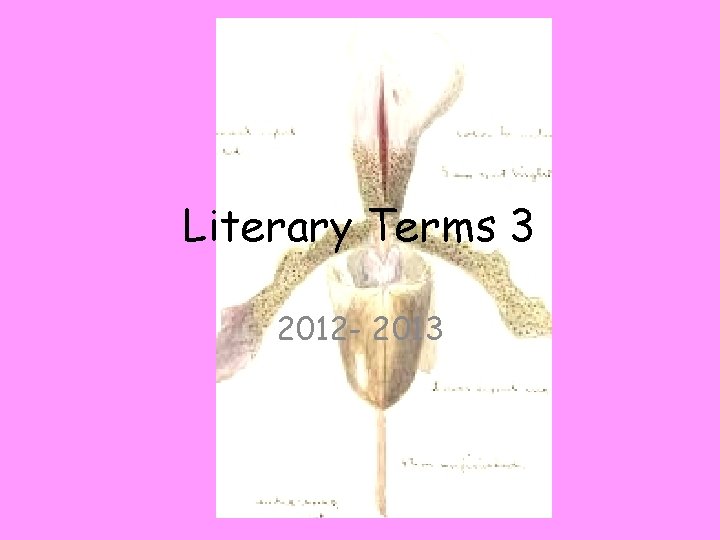 Literary Terms 3 2012 - 2013 