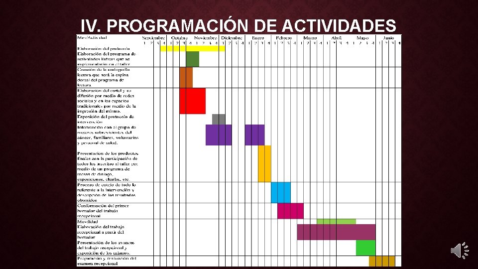 IV. PROGRAMACIÓN DE ACTIVIDADES 