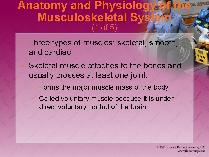 Anatomy and Physiology of the Musculoskeletal System (1 of 5) • Three types of