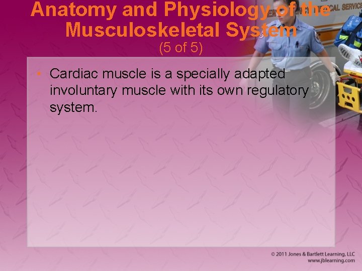 Anatomy and Physiology of the Musculoskeletal System (5 of 5) • Cardiac muscle is