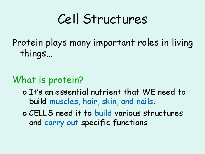 Cell Structures Protein plays many important roles in living things… What is protein? o