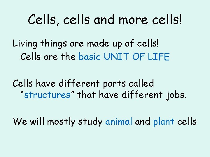 Cells, cells and more cells! Living things are made up of cells! Cells are