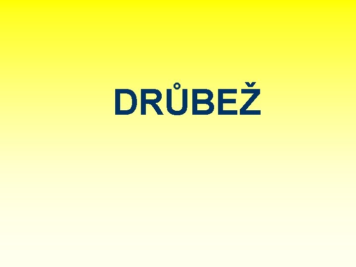 DRŮBEŽ 