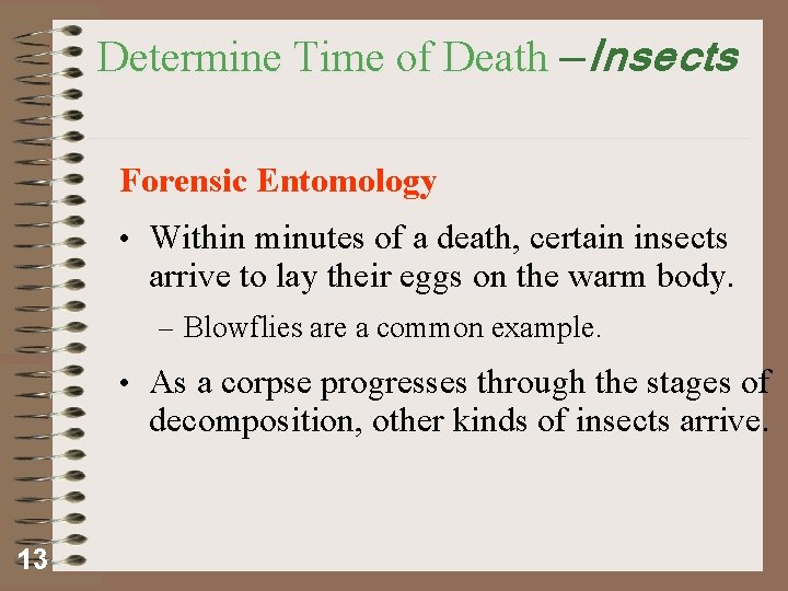 Determine Time of Death —Insects Forensic Entomology • Within minutes of a death, certain
