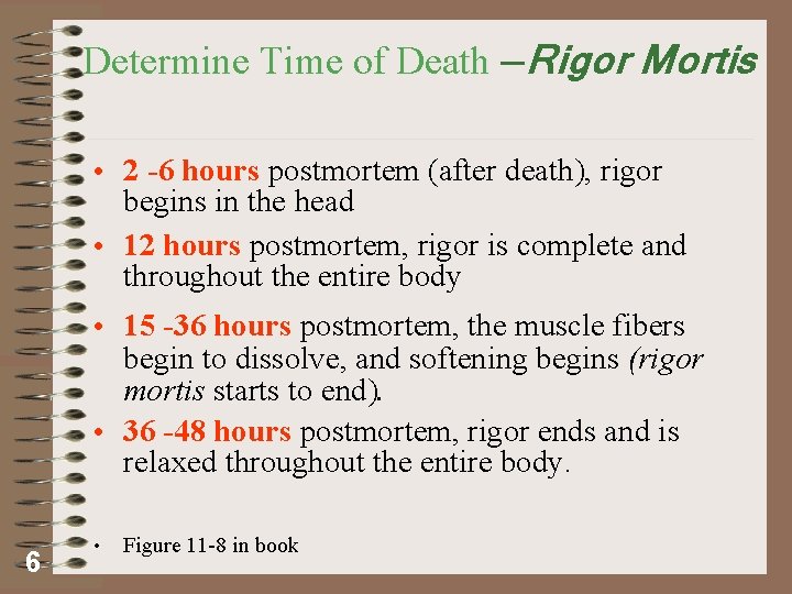 Determine Time of Death —Rigor Mortis • 2 -6 hours postmortem (after death), rigor