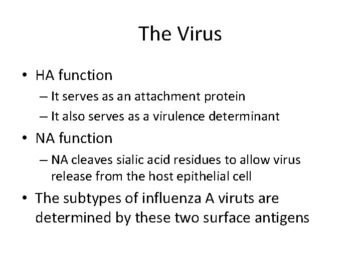 The Virus • HA function – It serves as an attachment protein – It
