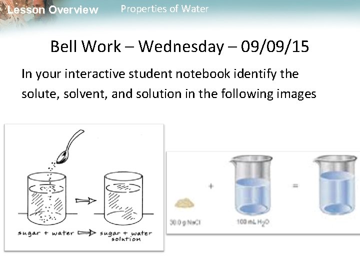 Lesson Overview Properties of Water Bell Work – Wednesday – 09/09/15 In your interactive