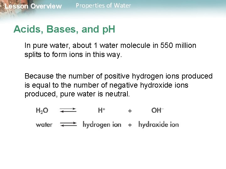 Lesson Overview Properties of Water Acids, Bases, and p. H In pure water, about