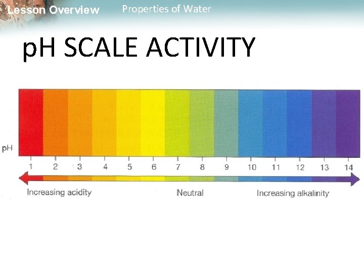 Lesson Overview Properties of Water p. H SCALE ACTIVITY 